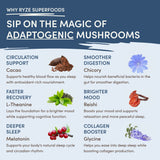 RYZE Mushroom Hot Cocoa — Organic Instant Cocoa with L-Theanine & Melatonin, 20 Servings